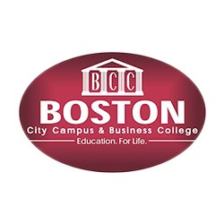 Boston College study web design