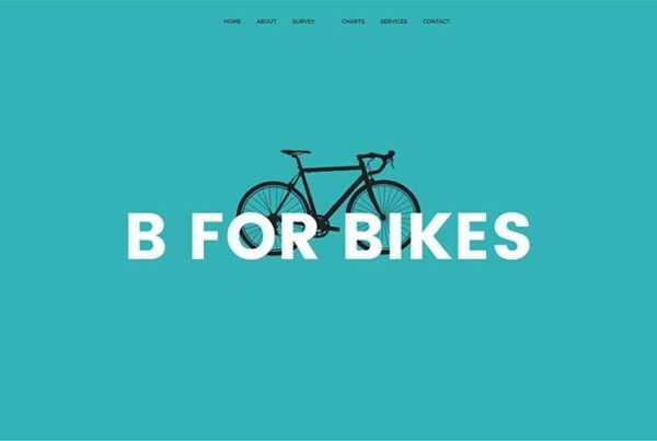 Bicycle Brand Small Business Demo