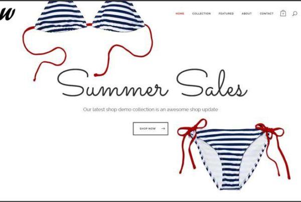 Online Store Woocommerce Summer