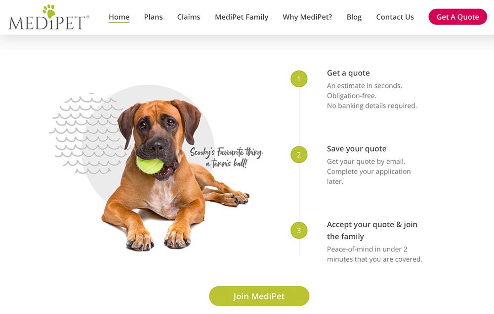 graphic design agency graphic design agency