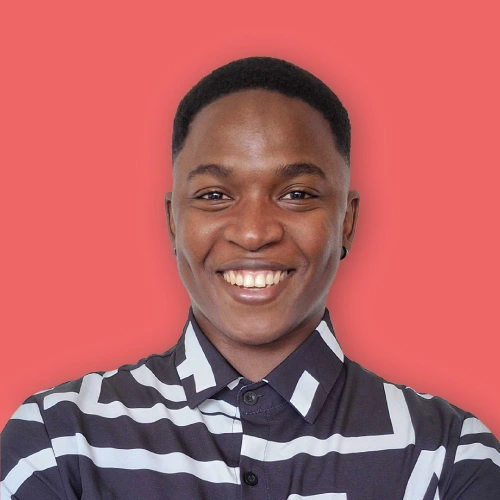 thobela web developer